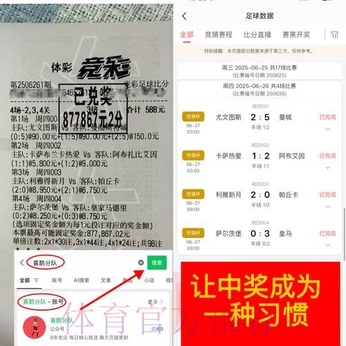 全面解析世界杯下注平台功能与特点